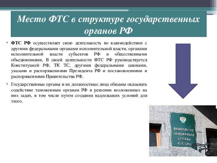 Роль и место ФТС в системе органов государственной исполнительной власти., слайд №8