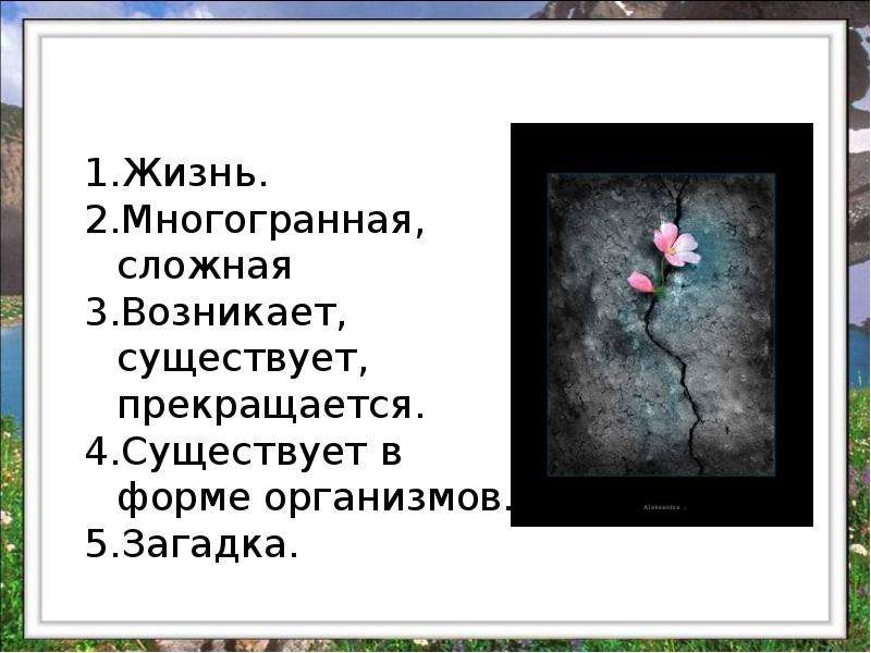 Тест свойство живого. Жизнь многогранна. Многогранность жизни человека. Жизнь она многогранна. Жизнь многогранна картинки.