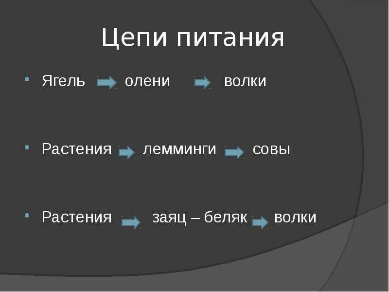 Схема пищевой цепи тундры