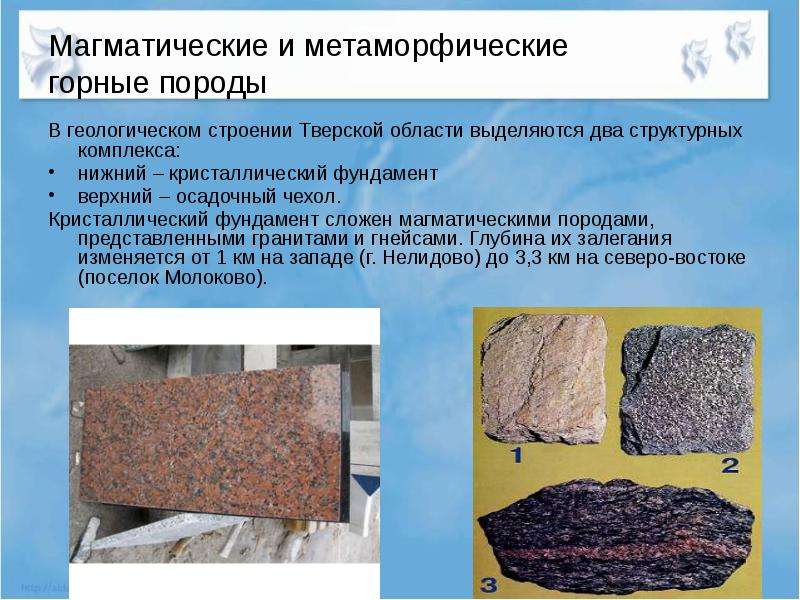 Магматические и метаморфические горные породы В геологическом строении Тверской области выделяются д