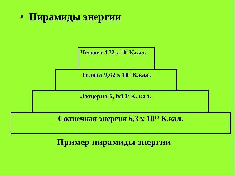 Пирамида энергии. Экологическая пирамида энергии. Пирамида энергии биология. Пирамида энергии примеры.