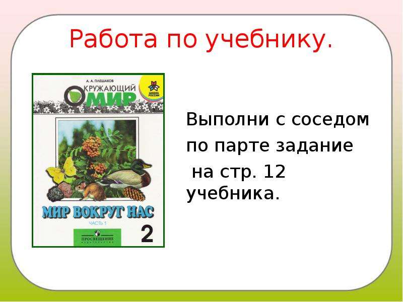 Работа по учебнику. Слайд работа по учебнику. Работа по учебнику для презентации. Ответь на вопросы и выполнение задания.