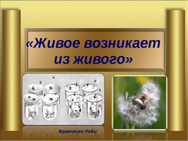 Размножение живых. Живое возникает из живого. Живое зарождается из живого. Все живое из живого. Всё живое зарождается от живого примеры.