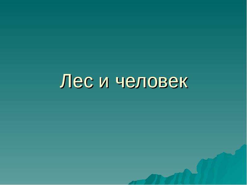 Экскурсия по лесу презентация