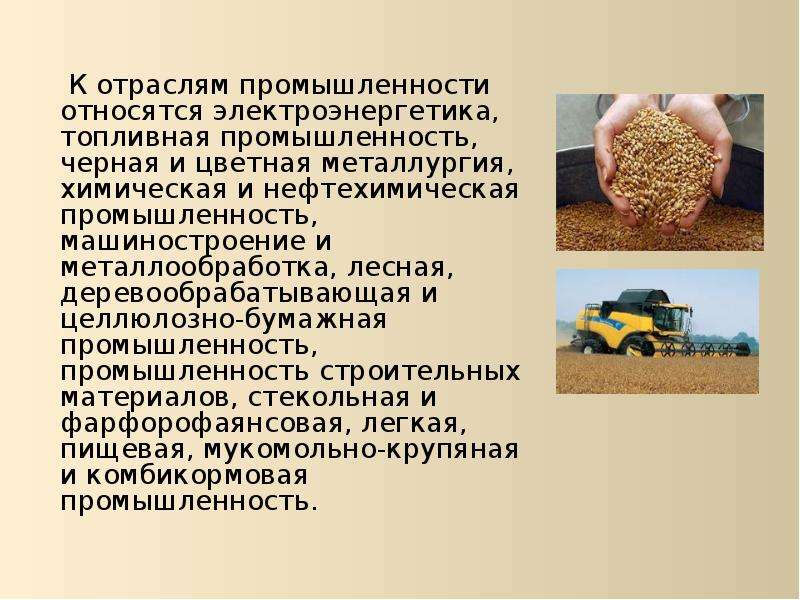 К какой промышленности относится. Что относится к отрасли промышленности. Что относится к промышленной отрасли. Какие отрасли относятся к промышленности. Промышленность относится к какой промышленности.