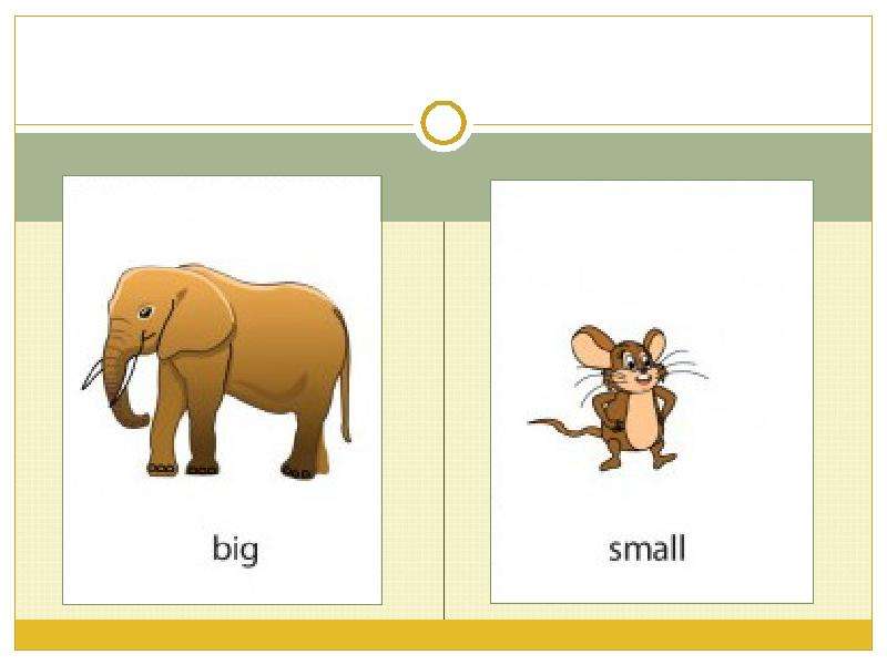 Big small animals. Карточки big small. Big small для детей. Презентация big small. Животные big small.