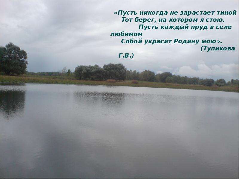 Пусть никогда. Бардяные пруды, п. Петровский Гаврилово-Посадского района. Бардяные пруды. Заросший Тиной пруд. Бапрдяные пруды в пос. Петровский Ивановской области.