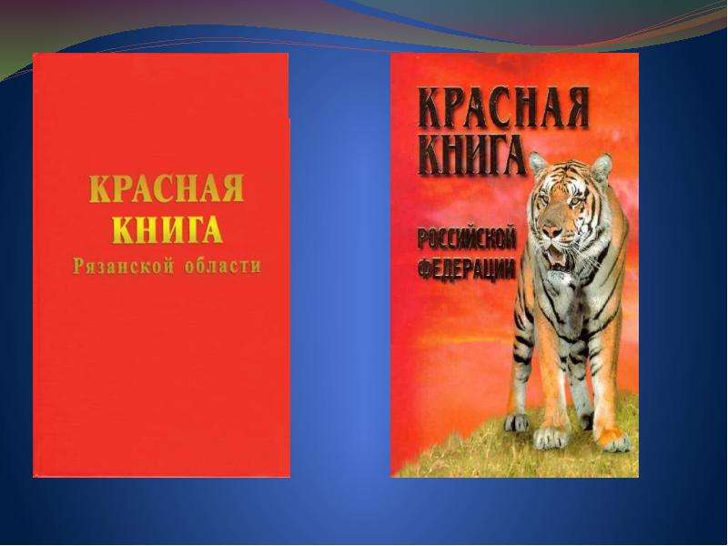 Картинка красной книги россии для проекта