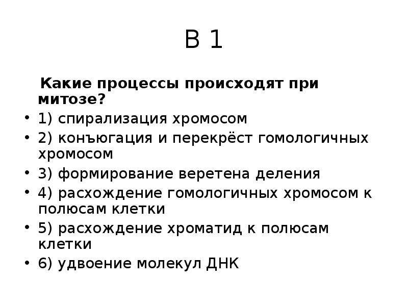 Митозе спирализация хромосом. Какие процессы происходят при митозе спирализация хромосом. Процессы происходящие при митозе спирализация хромосом. Какие процессы происходят при митозе 1 спирализация хромосом. Спирализация хромосом при митозе происходит в.