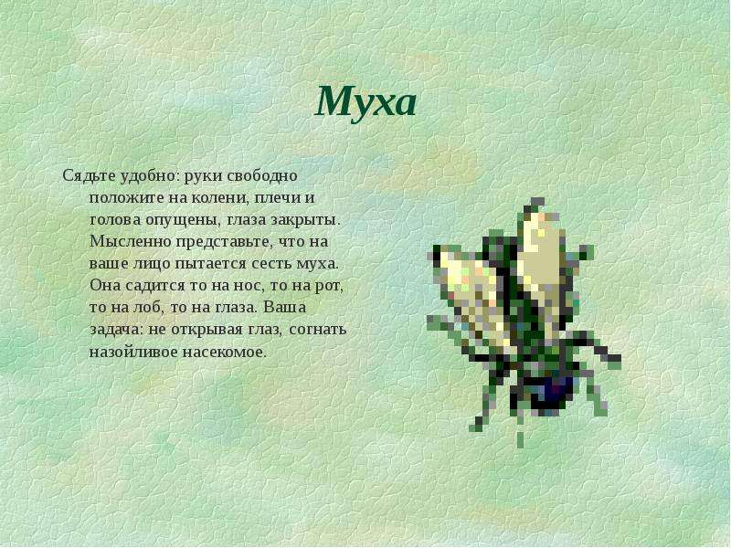 Села муха. Муха села. Муха села на руку. На ладошку села Муха.