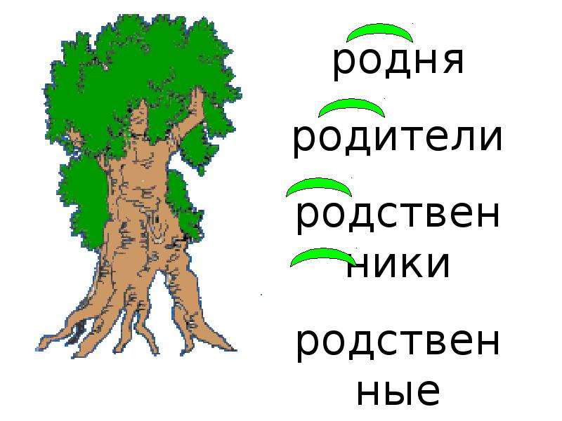 Нарисуйте свое дерево с однокоренными словами дуб