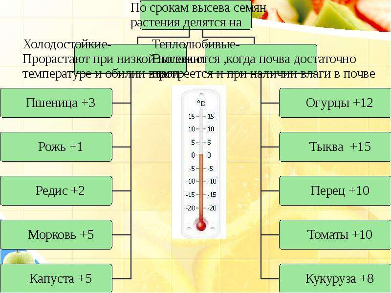 Размножение растений тест 3 класс