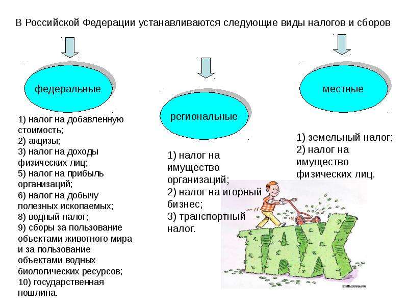 Презентация налоговая система в рф 11 класс