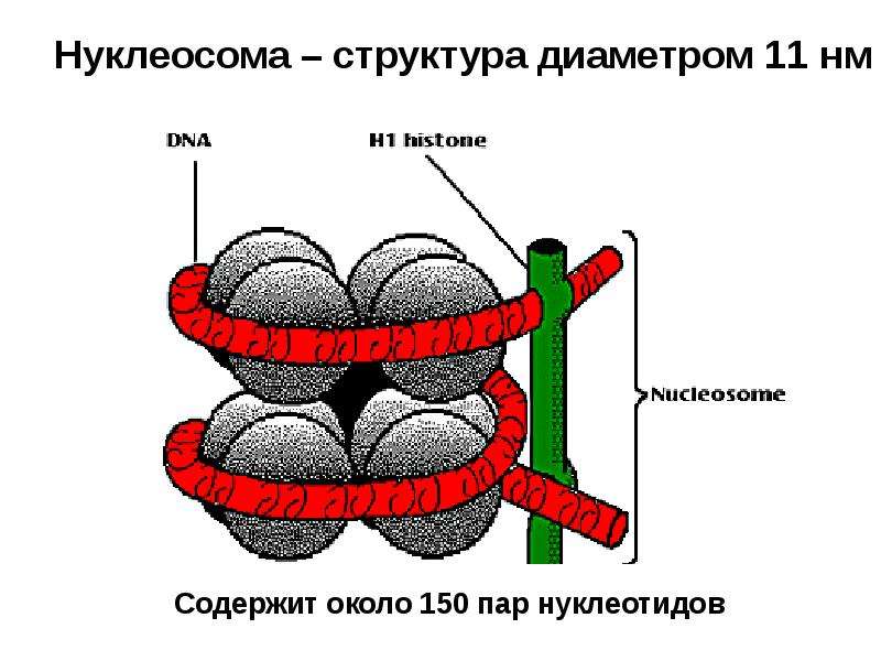 Ядро загружено на 100