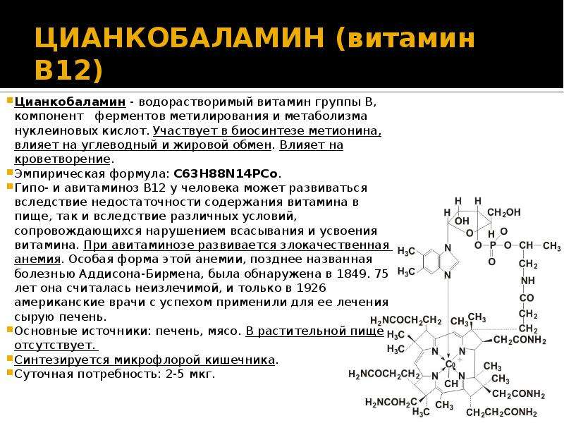 Определение витамина в12. Синтез витамина б12. Витамин в12 участие в метаболизме. Метаболизм витамина б12. Витамин в12 и Синтез ДНК.