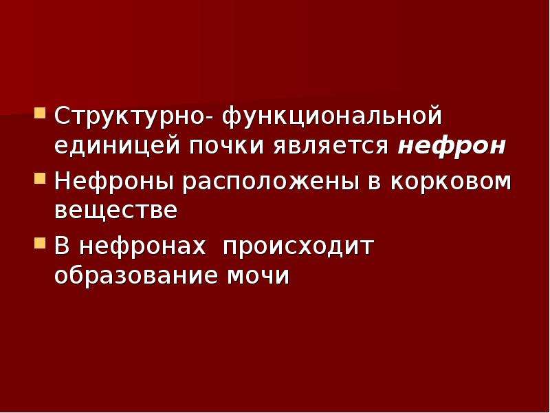 Презентация по биологии органы выделения 7 класс