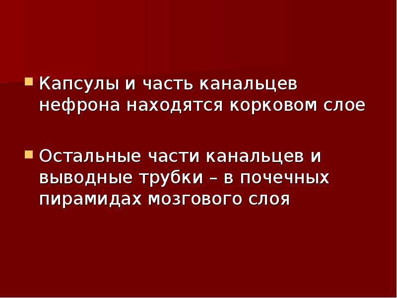 Презентация по биологии органы выделения 7 класс