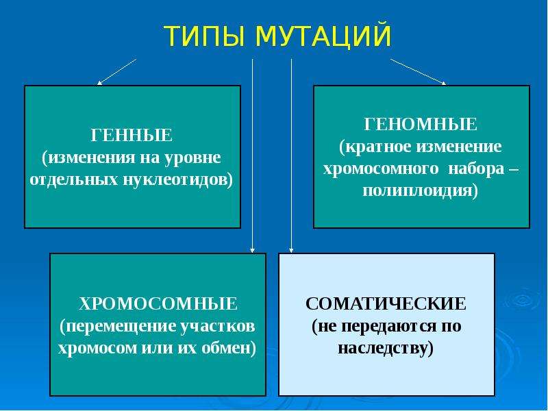 Мутации и мутагены презентация