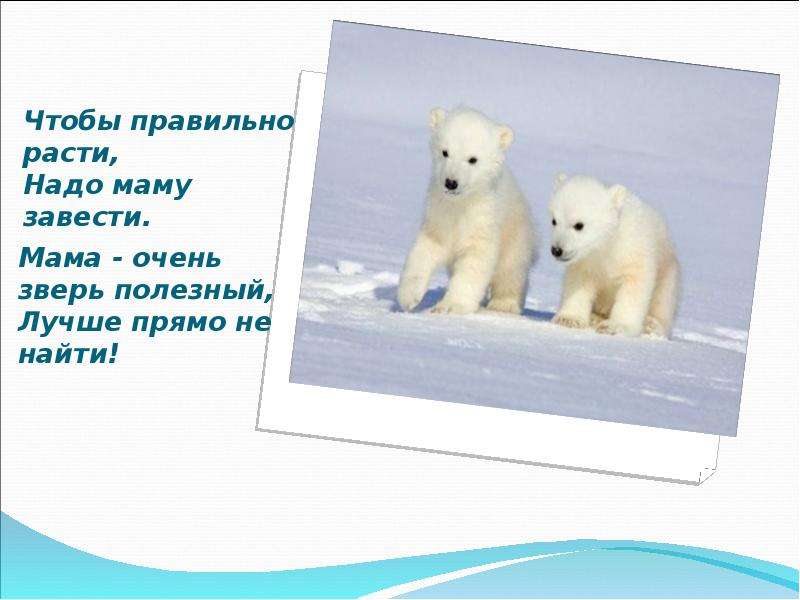 Росла как правильно. Чтобы правильно расти надо маму завести. Мама зверь полезный стих. Чтобы правильно расти надо маму завести стих. Мама очень зверь полезный стих Автор.