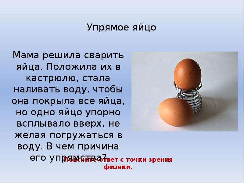 Презентация про яйца