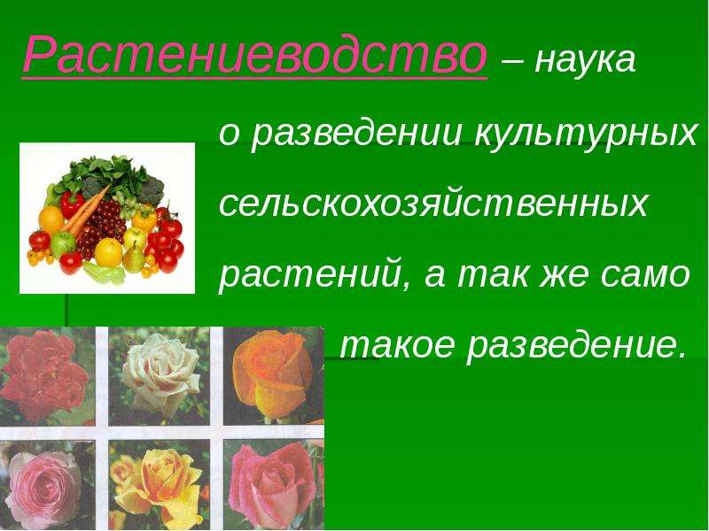 Роль науки в растениеводстве 8 класс презентация художественный труд