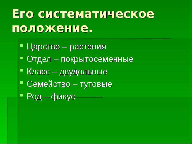 Царство отдел класс род вид растения. Систематическое положение царство. Систематическое положение растений. Систематическое положение царство растения. Систематическое положение фикуса.