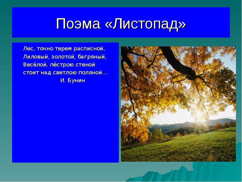 Бунин листопад презентация. Стих листопад. Поэма листопад. Листопад лес точно. Поэма листопад Бунин.