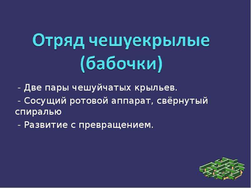 Отряд биология. Отряды в биологии. Отряд это в биологии определение. Две пары чешуйчатых крыльев. Токс отряды презентация.