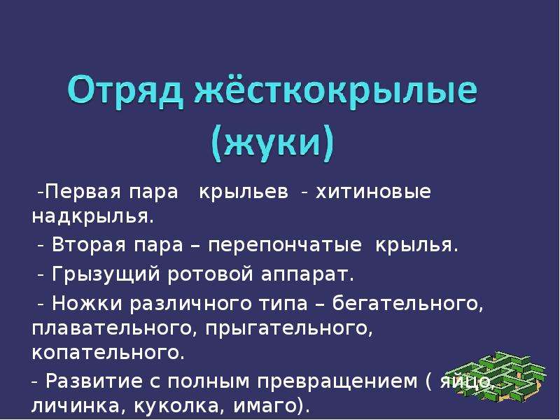 Отряд биология