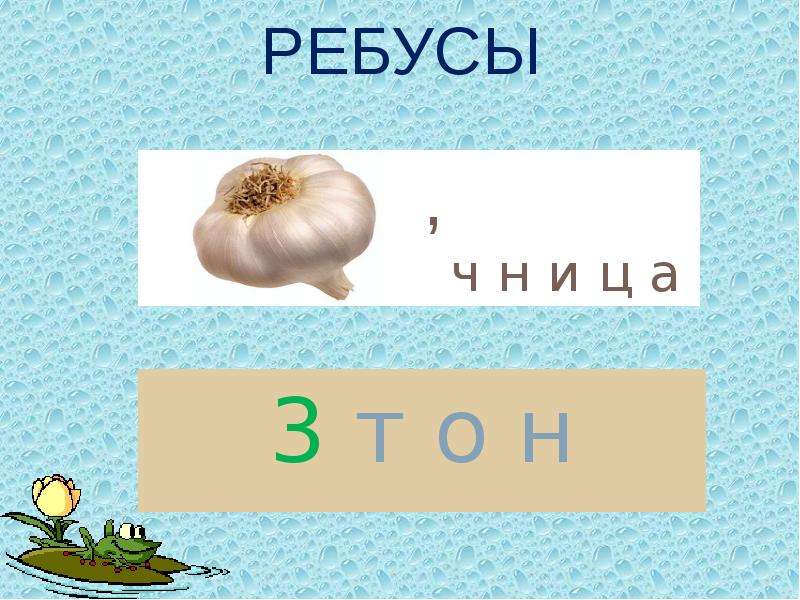 Н ч т. Ребус земноводные. Ребусы про земноводных. Ребусы о земноводных с ответами. Ребус Тритон.