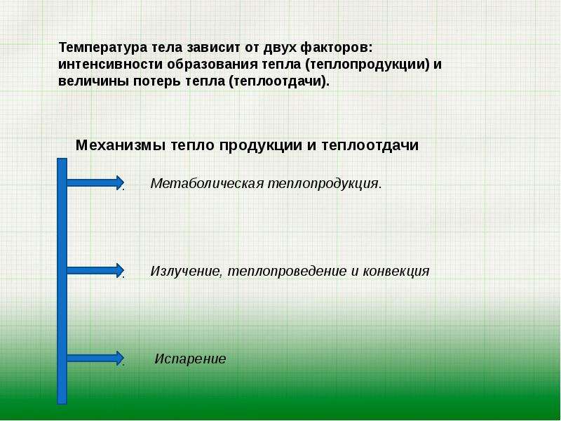 4 фактора температуры. Температура тела зависит. Температура тела зависит от физика. Механизм продукции тепла. Зависимость температуры тела от факторов.