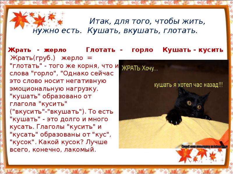 Есть или есть. Употребление слов есть и кушать. Есть или кушать как. Правильно говорить кушать или есть. Есть такое слово есть кушать.