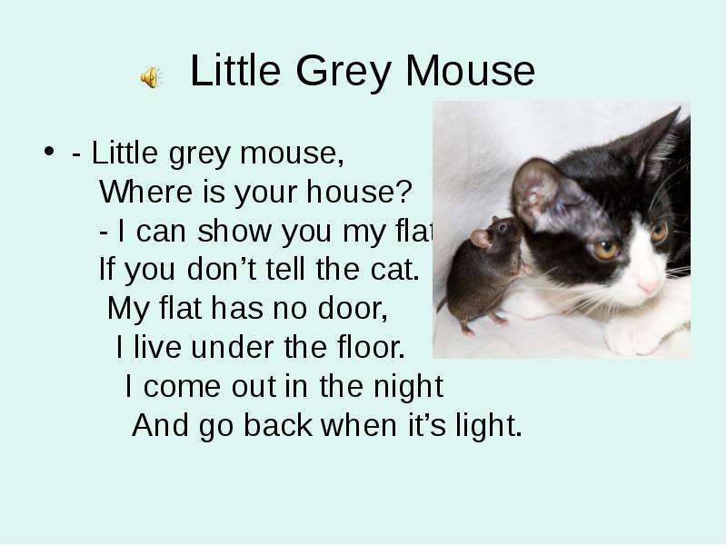 С английского на русский язык mice. Little Grey Mouse where is your House. Little Mouse стих. Стих про мышку на английском. Английский стишок про мышку.