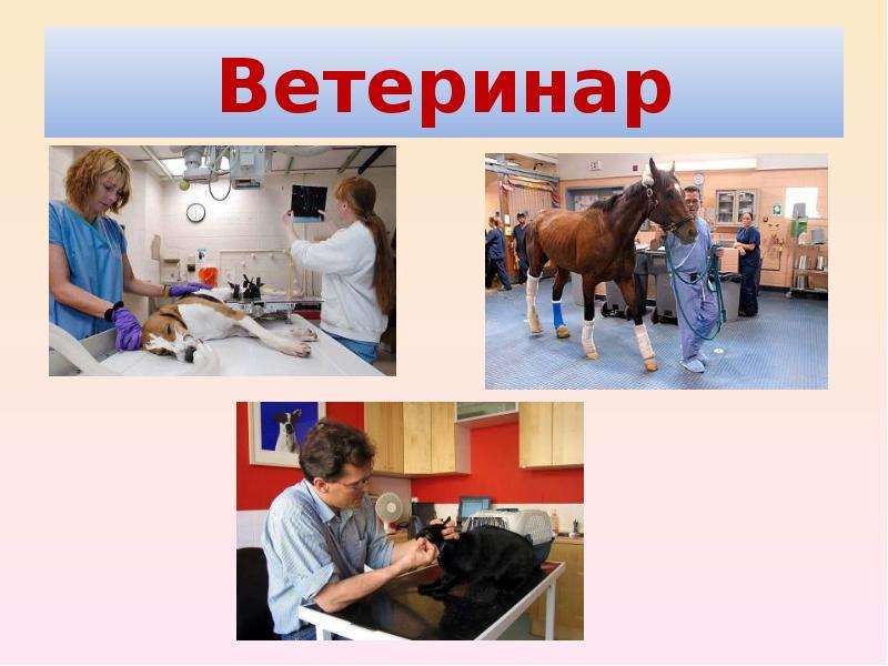 Проект на тему ветеринария в сельском хозяйстве