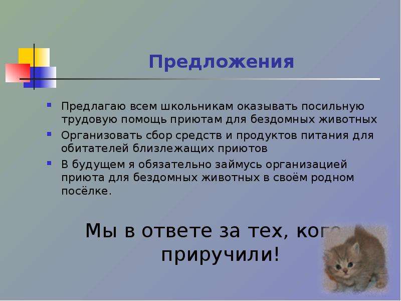 Мы в ответе за тех. Мы в ответе за тех кого приручили. Мы в ответе за тех кого приручили проект. Проект на тему мы в ответе за тех кого приручили. Мы в ответе за тех кого приручили проект 4 класс.