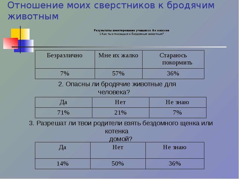 Анкетирование по проекту бездомные животные