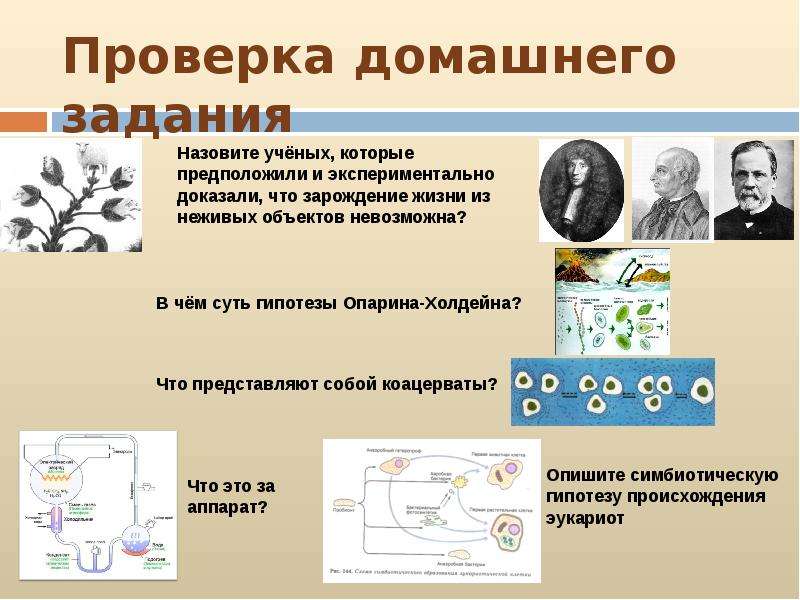 Жизнь в палеозойскую эру 9 класс презентация биология