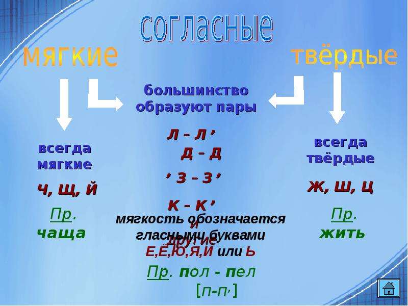 Всегда мягкие. Щ всегда мягкая. Фонетика всегда Твердые всегда мягкие. Буквы ч и щ всегда мягкие. Ч Щ всегда Твердые.