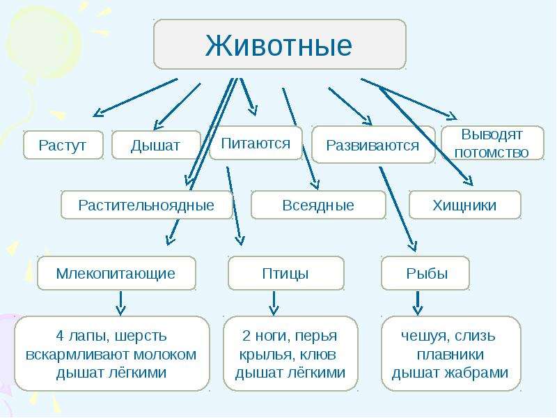 Технологическая карта урока по окружающему миру 3 класс разнообразие животных