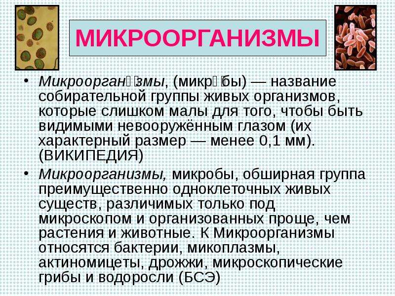 Физиология питания 5 класс урок технологии презентация