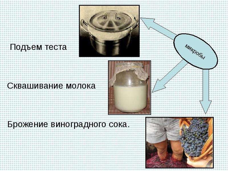 Проект по технологии 7 класс на тему кулинария