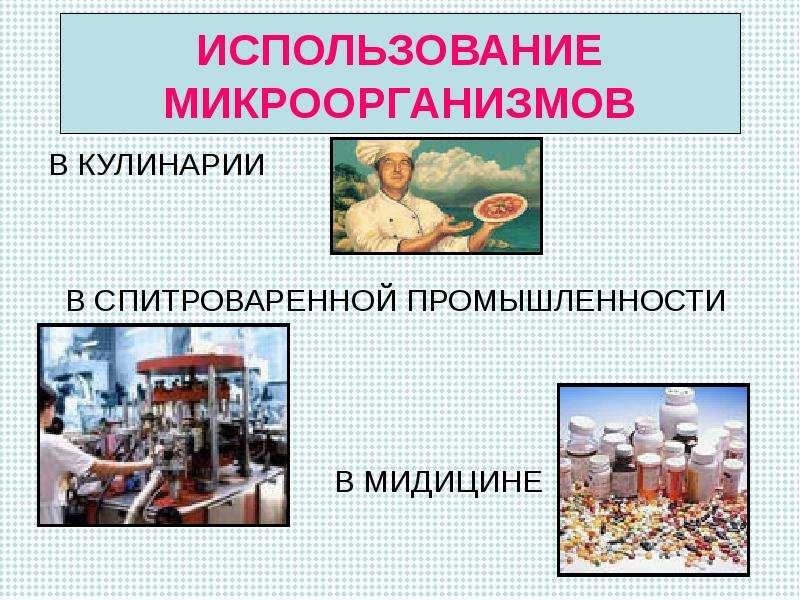 Проект по технологии 7 класс на тему кулинария