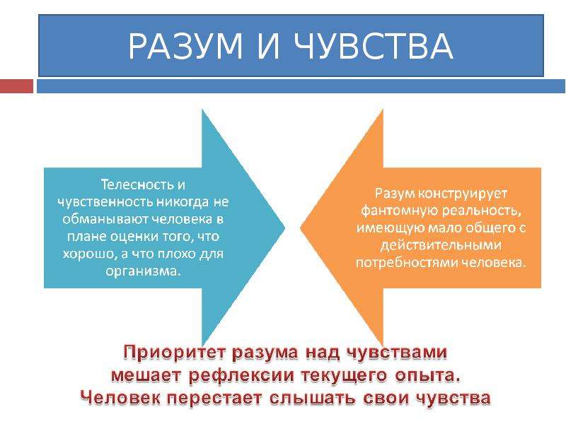 Разума над чувствами. Эмоции чувства разум. Разум это в философии. Разум и чувства человека. Разум и чувства философия.