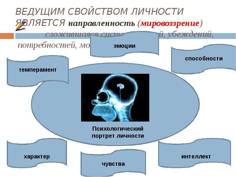 Портрет л. Психологический портрет личности Обществознание. Психологический портрет личности по обществознанию. Мировоззрение в психологическом портрете. Психологический портрет личности направленность.