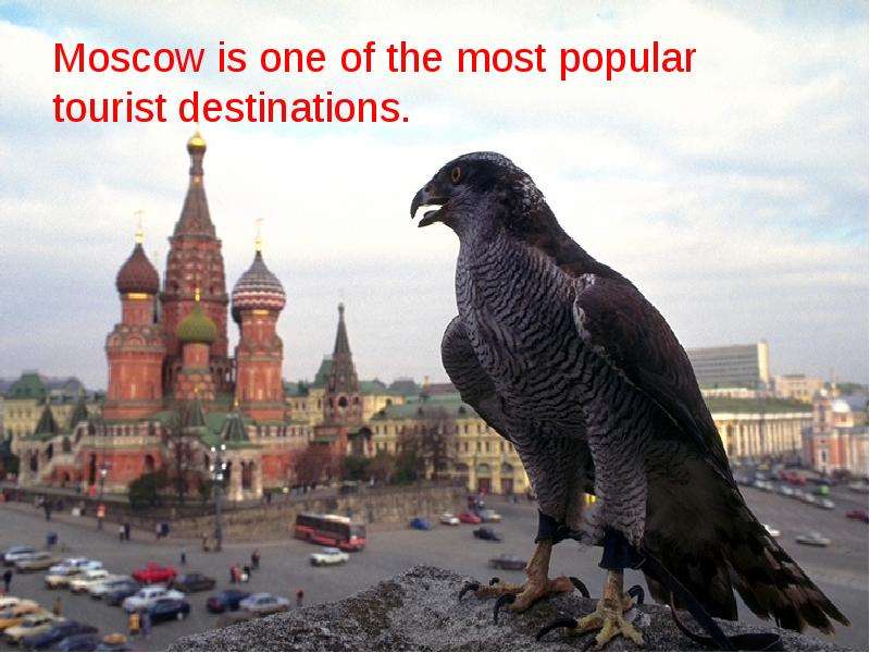 Moscow язык