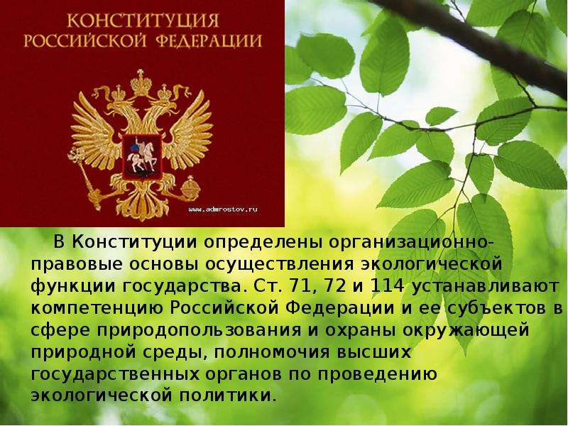 Ответственное отношение к животным закреплено в конституции. Конституционные основы охраны окружающей среды. Конституционные основы экологии. Конституция экология. Экологические основы в Конституции.