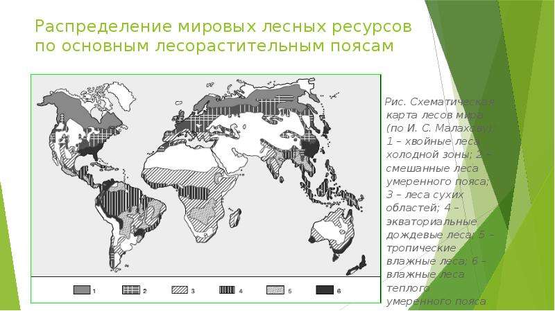 Регионы россии богатые лесными ресурсами