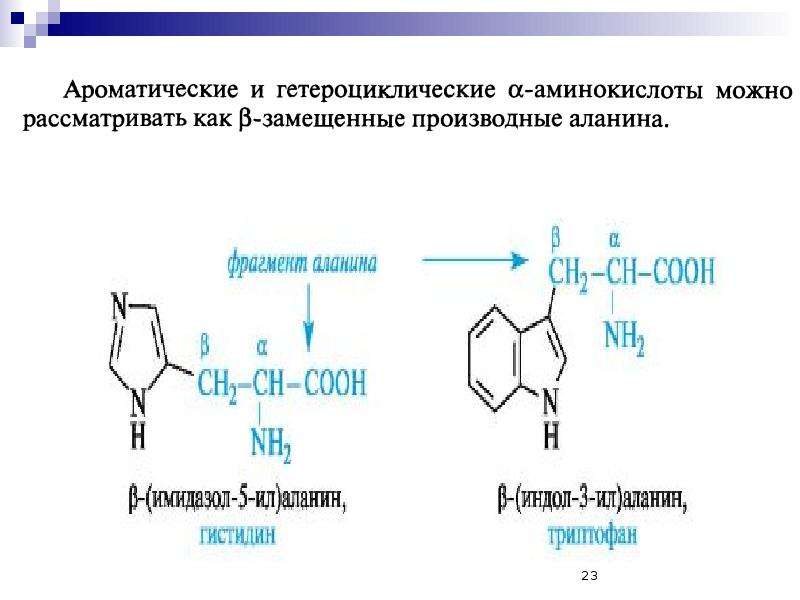 Аминокислоты химия 10 класс презентация. Триптофан гетероциклическая аминокислота. Ароматические и гетероциклические аминокислоты. Гетероциклические аминокислоты формулы. Гетероциклический Амин.