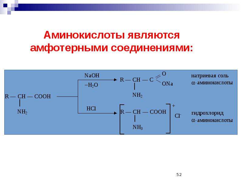 Аминокислоты химия 10 класс презентация. Химические свойства аминокислот по nh2. Образование внутренних солей аминокислот. Соли аминокислот. Натриевая соль аминокислоты.