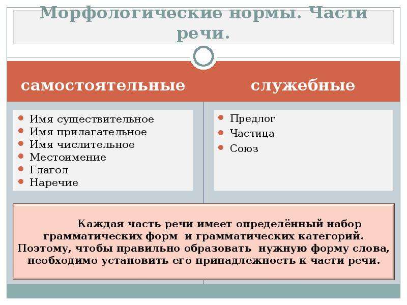 Нормативная форма прилагательного. Морфология морфологические нормы. Морфологические нормы существительного. Морфологические нормы существительных. Морфологические нормы имен существительных.